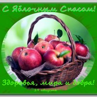 С праздником! :: Ольга Довженко