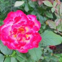 ,,, :: Сергей Тимоновский ,,, :: Сергей Тимоновский