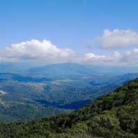 Кавказские горы :: Рита Симонова