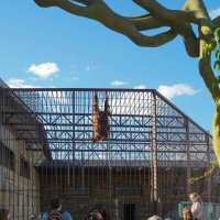 СВЕРХУ_И_СНИЗУ :: Сергей Янович Микк