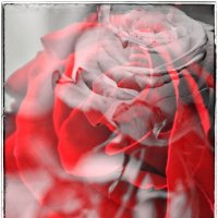 * * * * * :: Руслан 