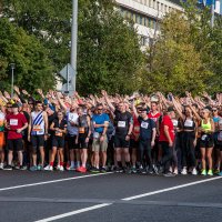 Перед забегом :: Павел Катков