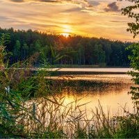 **** :: Алексей Мезенцев