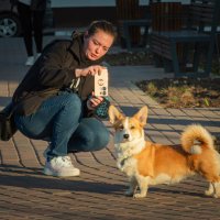 Ты будешь фотографироваться? :: Алексей Ковынев