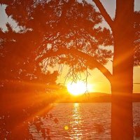 На Закате... :: Дмитрий Петренко