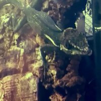 112 (216) :: СТРЕН 