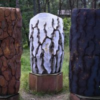 Берег :: redfox 