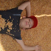 В кукурузе :: Сергей 