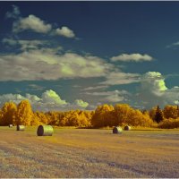 Инфракрасный июль (фильтр 630 нм ) :: Валентин Котляров Инфракрасный июль (фильтр 630 нм ) :: Валентин Котляров