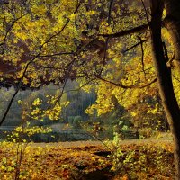 На мотив Бориса Пастернака / Август :: Victor Vinocurov