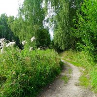 Лето в августе (репортаж из поездки по области). :: Милешкин Владимир Алексеевич 