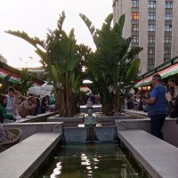 причудливые отражения :: Галина R...