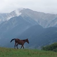 Talgar. :: Murat Bukaev 