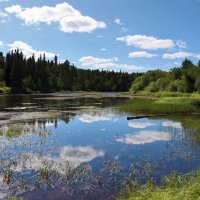 Ясный денёк... :: Галина Ильясова