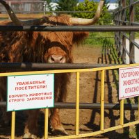УВАЖАЕМЫЕ :: Сергей Янович Микк