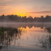 **** :: Елизавета .