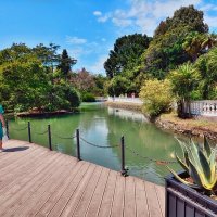 На пруду :: Mikhail Irtyshskiy На пруду :: Mikhail Irtyshskiy