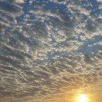 Утро раннее...Солнце уже взошло.... :: tatyana 