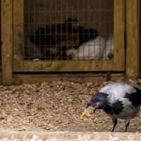 Гражданин, где-то БОГ послал :: Владимир Максимов Гражданин, где-то БОГ послал :: Владимир Максимов