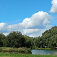 Терлецкий парк в Москве. :: Ольга Довженко Терлецкий парк в Москве. :: Ольга Довженко
