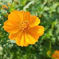 ,,, :: Сергей Тимоновский