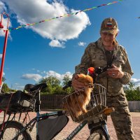 Маленький друг. :: Алексей Ковынев