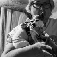 Дама с собачкой. :: Алексей Ковынев