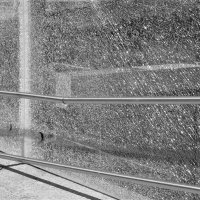 ДОЖДЬ. :: Виктор Никитенко