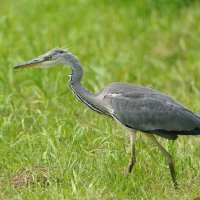 * * * :: Станислав С.