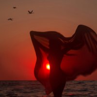 Свои  крылья :: Сергей Рузаев 