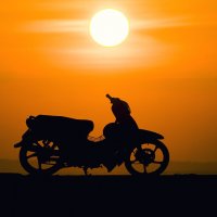 .... :: Dmitry Ozersky