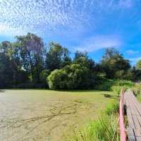 Мостик :: Наталья 