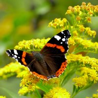 из снятого вчера 3 :: Александр Прокудин