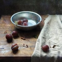 Сливы поспели :: Ирина Курмалеева