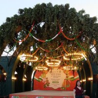 индийский фестиваль :: Галина R...