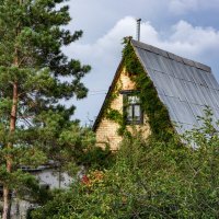 Лето :: Петр 