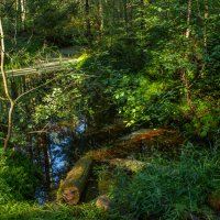 Тихий омут. :: Михаил "Skipper" Тихий омут. :: Михаил "Skipper"