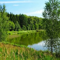 Наше лето :: Милешкин Владимир Алексеевич Наше лето :: Милешкин Владимир Алексеевич