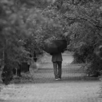 Просто дождь ... :: Владимир А.