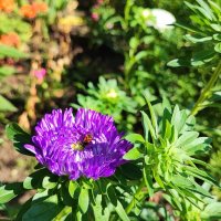 ,,, :: Сергей Тимоновский