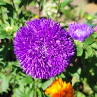 ,,, :: Сергей Тимоновский