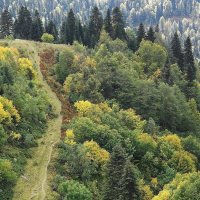 Кавказские горы :: Рита Симонова