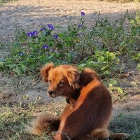 Оглянулся, посмотрел... :: Наталья 