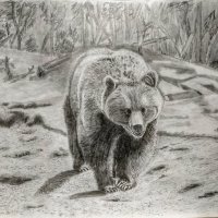 хозяин тайги :: Валентина. .