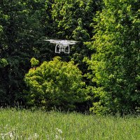 Мирный дрон,,,, :: Анатолий Колосов Мирный дрон,,,, :: Анатолий Колосов