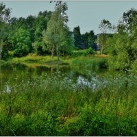 У ОЗЕРА... :: Elvira E. 