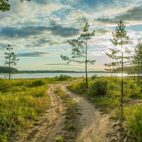 Дорога к озеру :: Александр Филатов