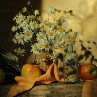 Ромашки :: Валентина 