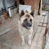 Рэй. :: Alex 711402