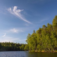 А вот и Змей Горыныч! :: Дмитрий Печенкин